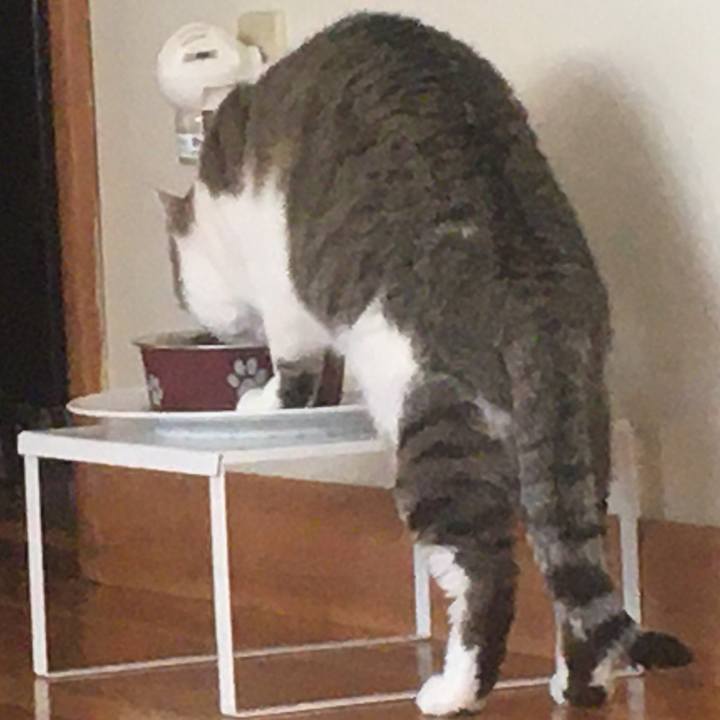 F8b551b4 bd17 4f51 aeaa 631d3f11b5c9 1617456834143