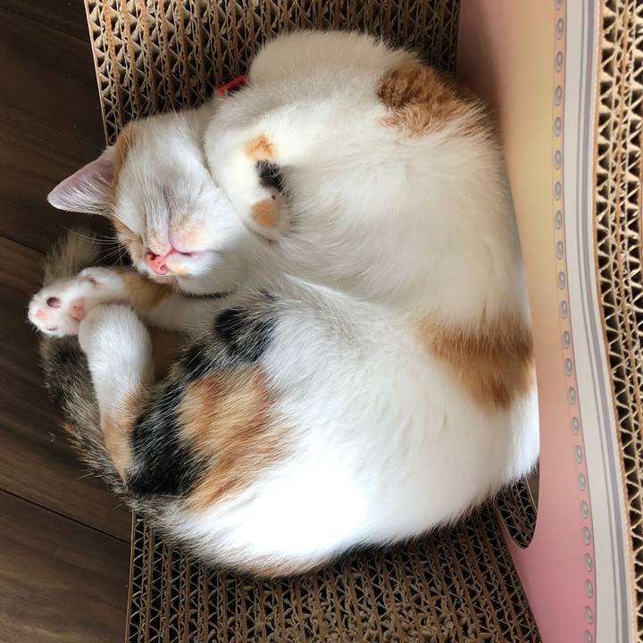 F8b57928 0a22 4dba 99da 38143883ba60 1570337816188