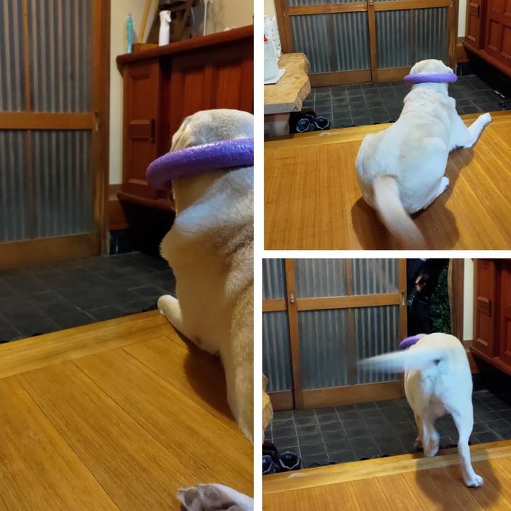 F8b5a727 0aad 48e9 9540 d5447fa8e246 1695879756864