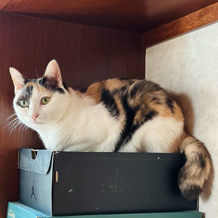 F8b5a890 817f 405e a699 b2b645f8f344 1665885957656