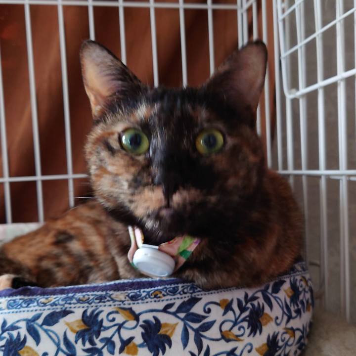 F8b5adef a198 4612 97d1 3b68eeff882d 1655269109554