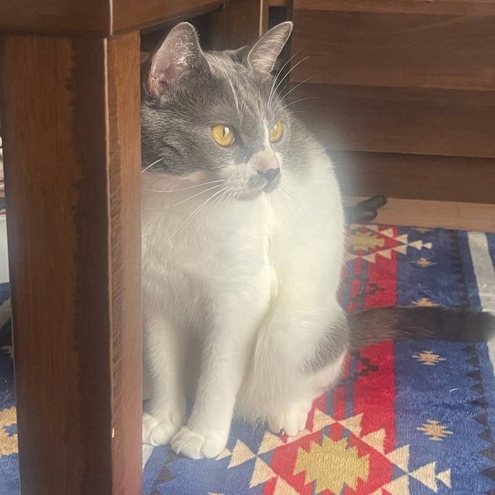 F8b5b47e 0b01 4735 993f 21d7c209ee01 1631752268137