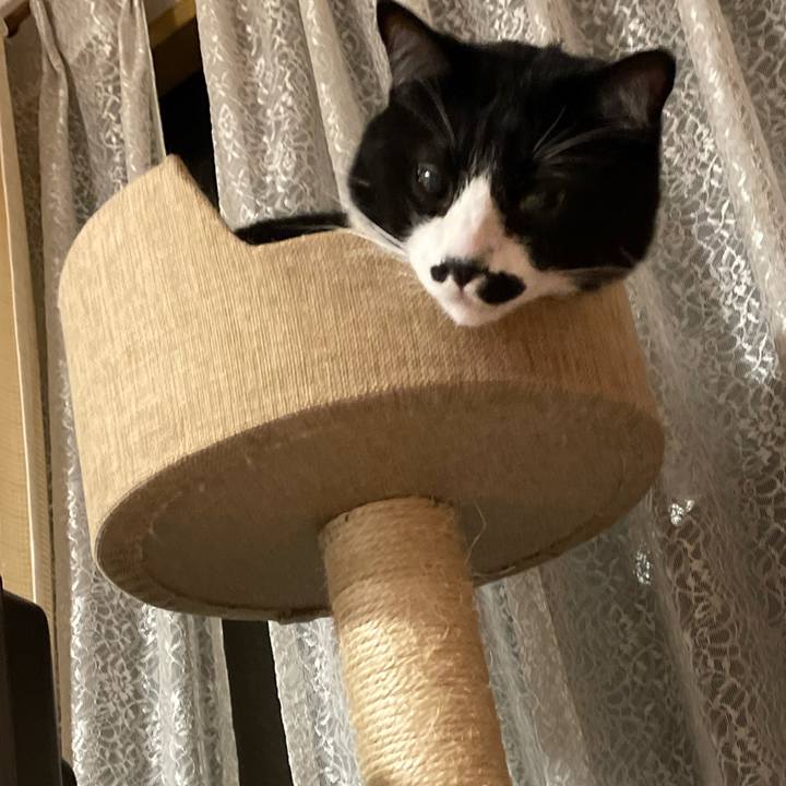 F8b5c47d 5ef0 4cfb b605 9a9638123be9 1702825143998