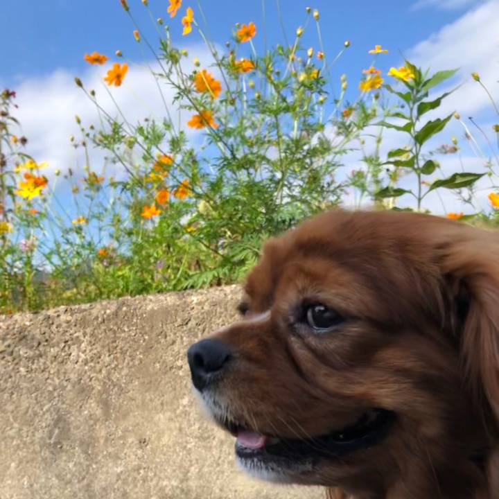 F8b5e466 e55c 41b3 a0b0 60781d744c4b 1600733677714