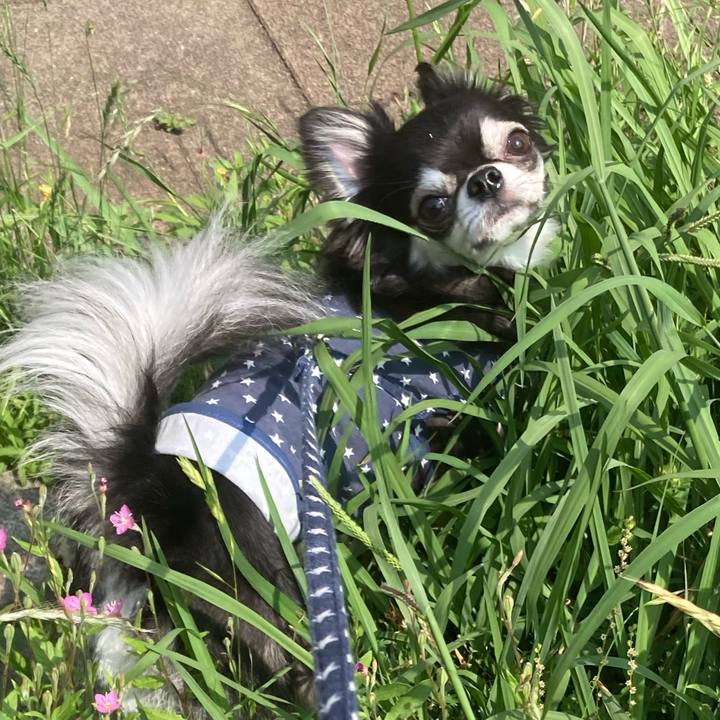 F8b5efc2 beca 498d 967e 5c04728fa1ab 1654439051700