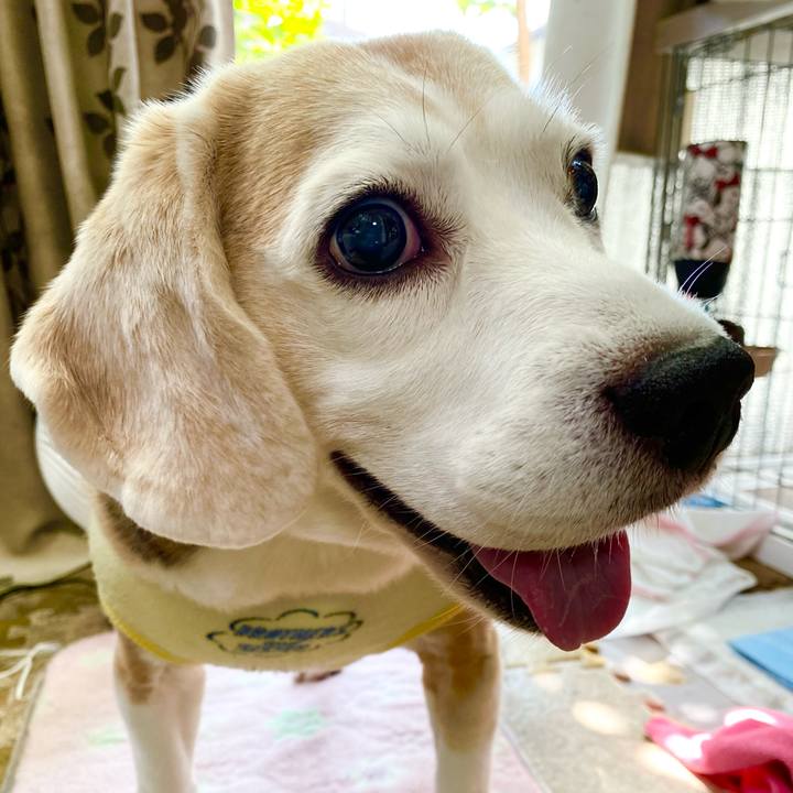 F8b62216 c0b0 4c6e 9721 f8eee2cb3bac 1633750620739