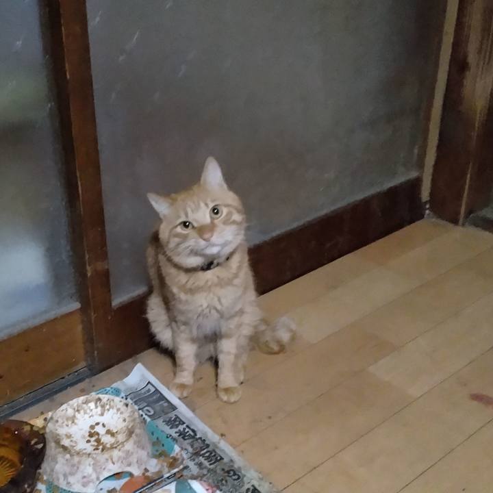 F8b6364b 418f 4596 ba41 943abcd6bd94 1668035197135