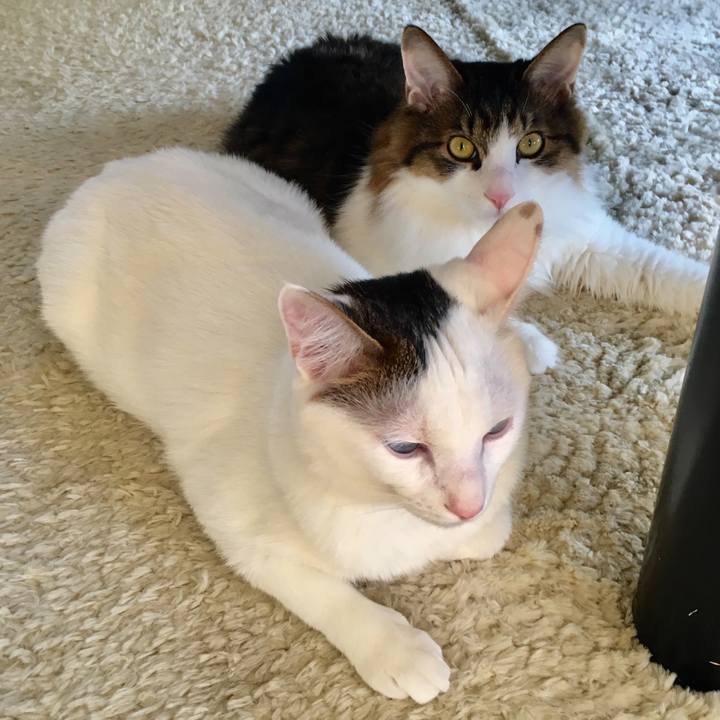 F8b63d0f 79d0 41fc bdd3 985c1e9c10b5 1512610401674