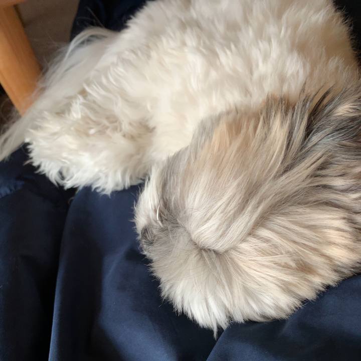 F8b65dc1 ff2f 4a9b a558 b3c71d014144 1552635600050