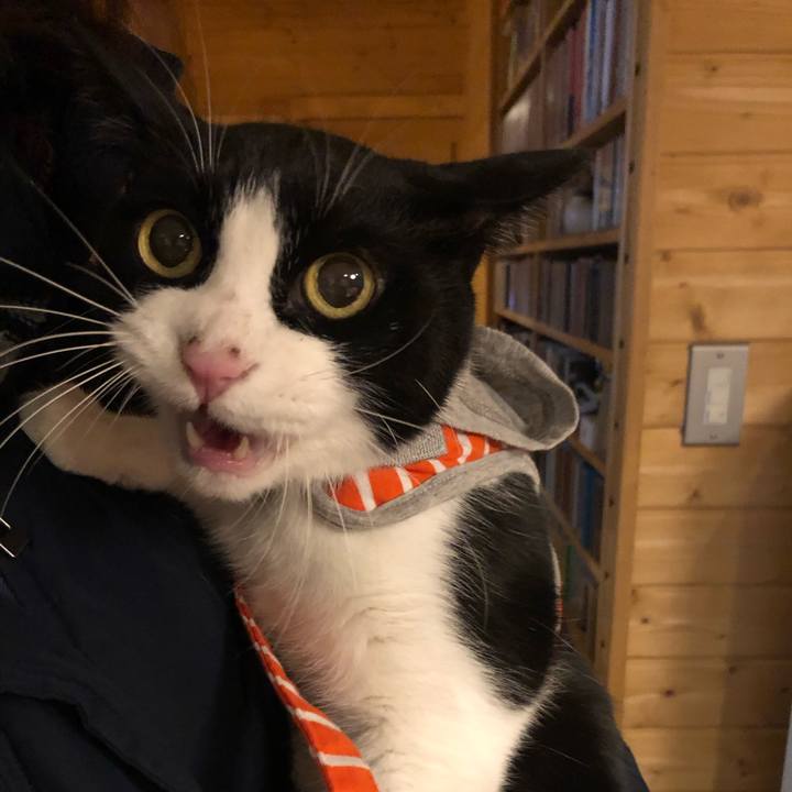 F8b6d31d 0fb9 4513 ac7f f770438299a4 1586072295893