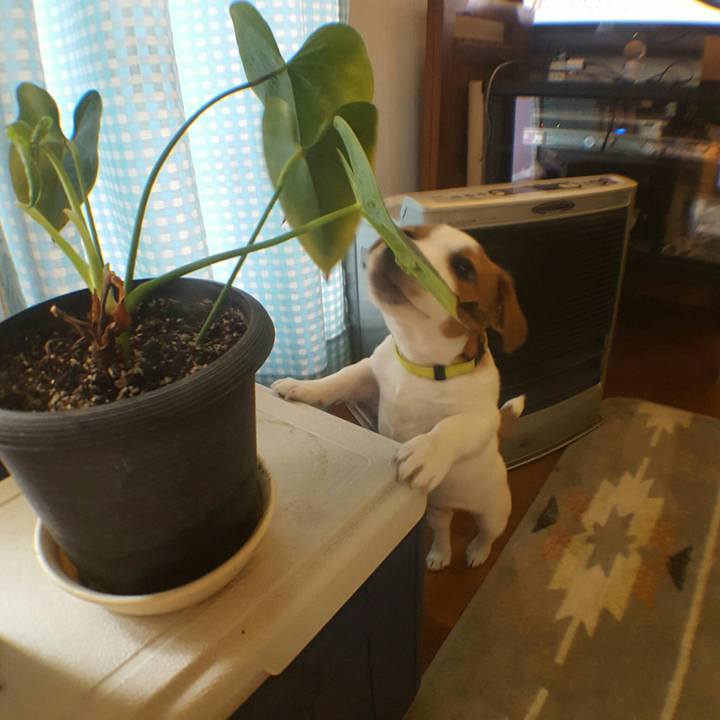 F8b6f073 40d8 47ee a8f4 d0ee81dc0b23 1550543435961