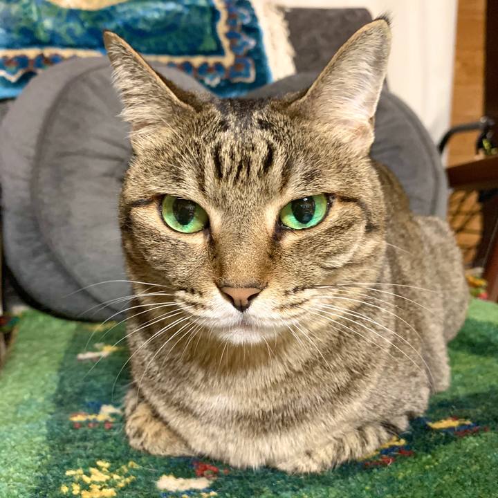 F8b7091a aac2 467c 811d 0c1a37e66222 1592642716884