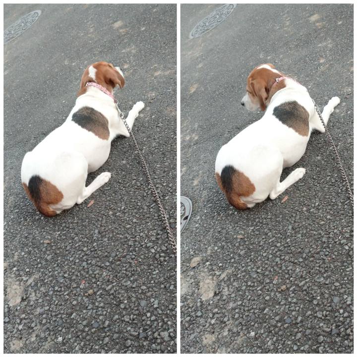 F8b7134a 9317 4d11 b3ac 4d9be2bf243c 1601980103794