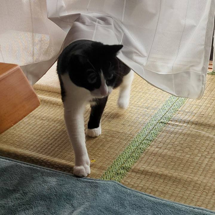 F8b718d1 b9fc 4cec af4c 700461aa4237 1702440980529