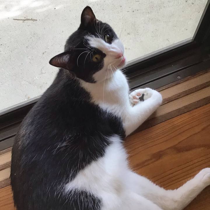 F8b732a3 1b8e 4d6d 995c 2bcf94f0a86f 1689081237696