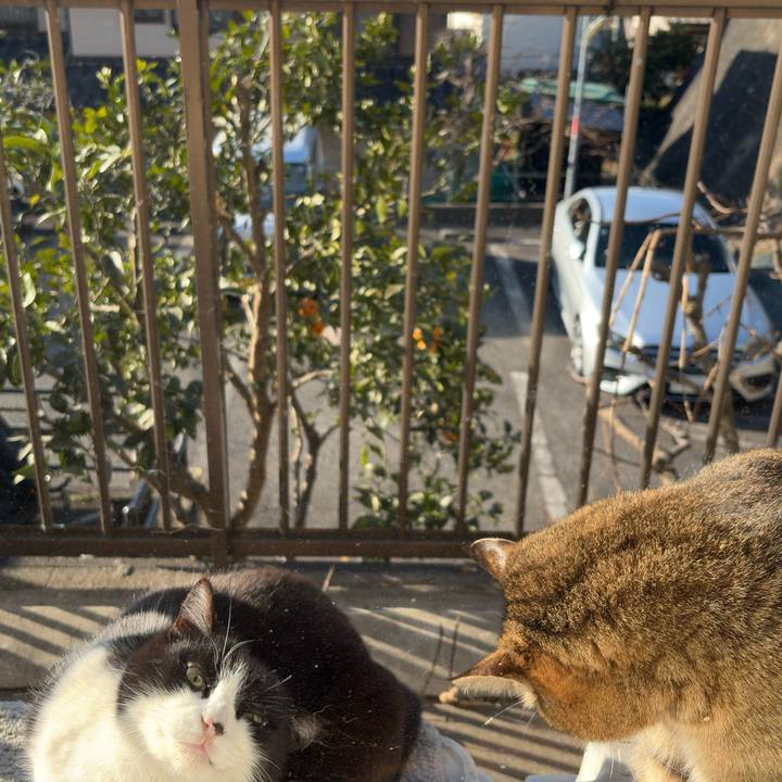 F8b74db9 3d05 46a7 bee5 804cce7162de 1770252263882