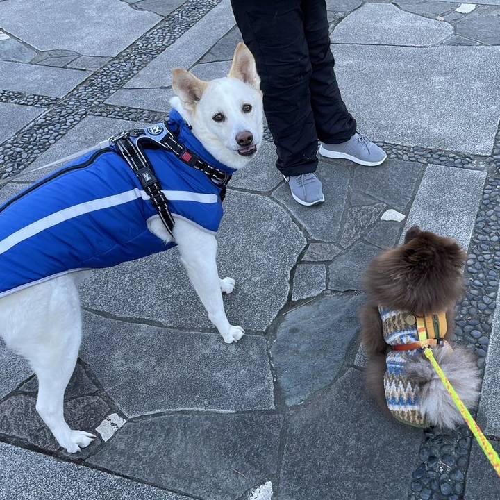 F8b770ec 8d00 4c44 9c9a 8f5b717b0882 1672708686273