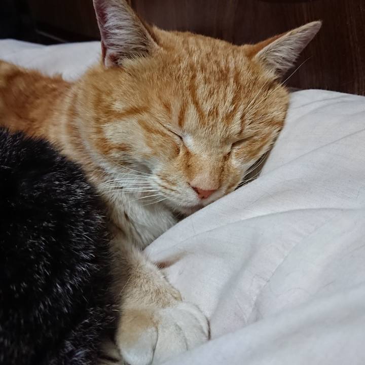 F8b77894 852b 4cdb 8a6a 103957ce1c85 1585140987990