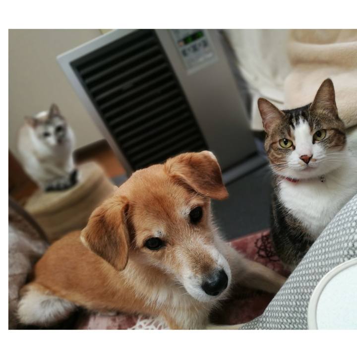 F8b79776 f8f5 4864 9f86 e85503379a43 1514694199084