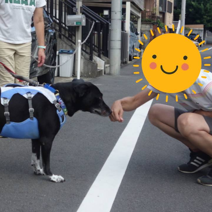 F8b79f9f 8cc0 4420 a221 b86a79ef6619 1691801562603