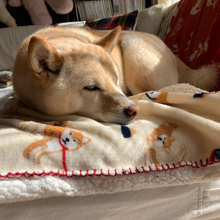 F8b7a3c6 009c 41ed a21e 84e68cdcae29 1614733456061