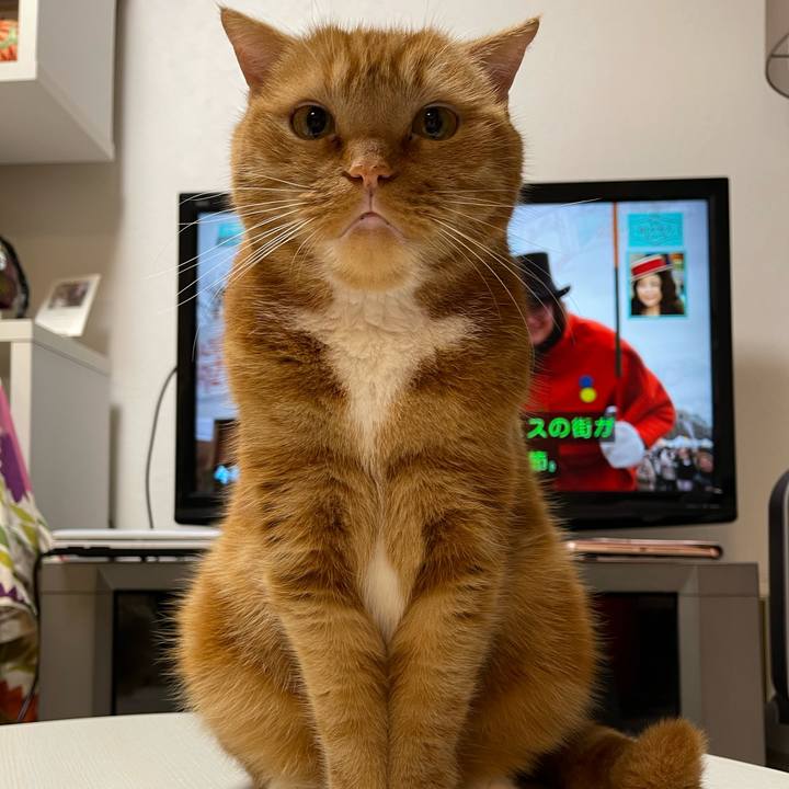 F8b7b4f6 282a 4361 bd40 80ce4bdf55bc 1655125509350