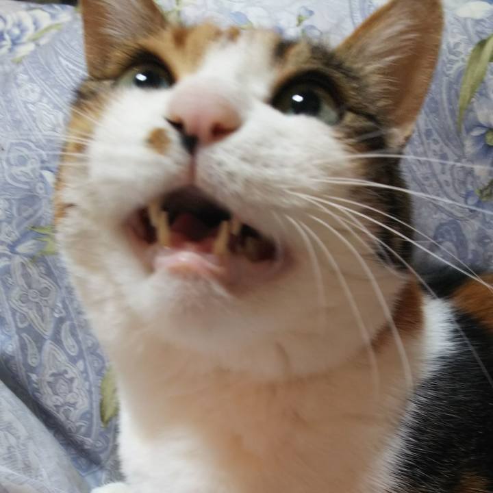 F8b7d69b 8858 4927 b006 3dea02c5fcdb 1549585921021