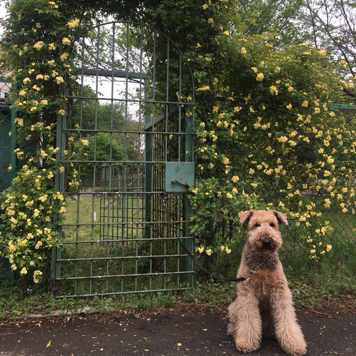 F8b7e1ed 6e52 4593 a617 28ecae154a26 1556188655966