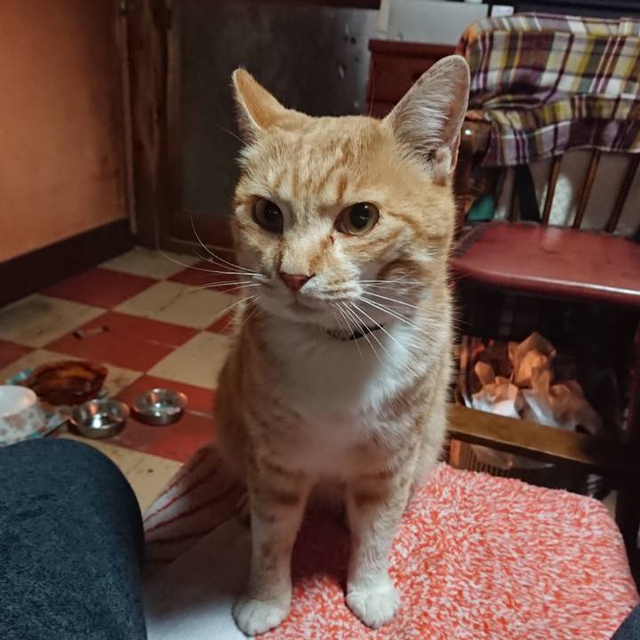 F8b7f47c 4ca4 456f bc68 024023a2e3a6 1586380965083