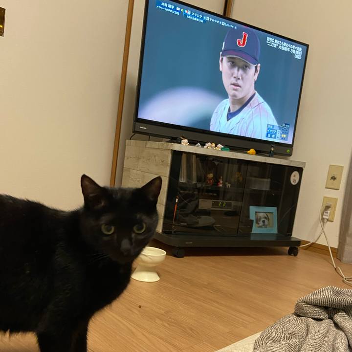 F8b83984 c2cf 402f 9ca9 96db2a493b26 1678967105416