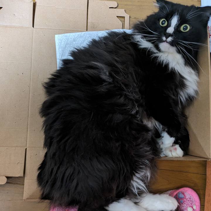 F8b8693a 7c18 43fe a55e 6bdd672b1016 1718661239140