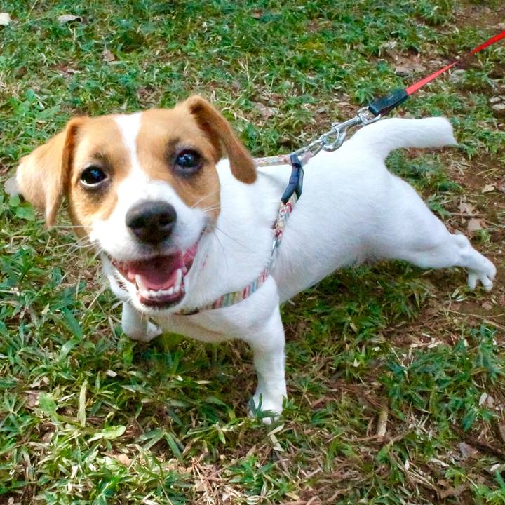 F8b89318 00cc 44fc 9a34 758456bbb203 1738676248220