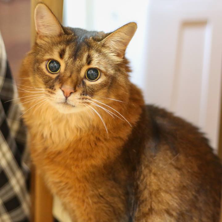 F8b89aed 298f 4b85 b0ff b79c906ee6ad 1669213961540