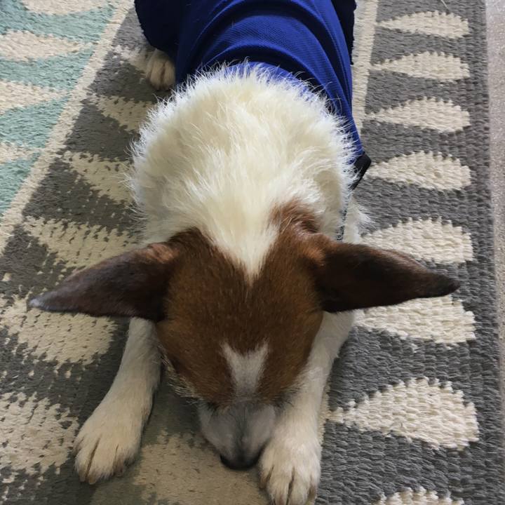 F8b8b5c4 25e7 45e6 8236 4212066e7ff8 1589591862294