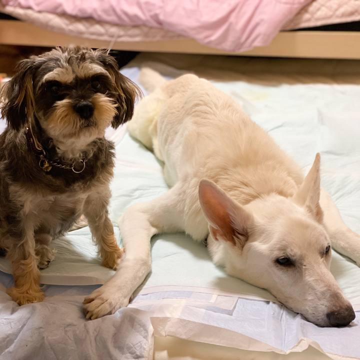 F8b8be7f 0121 4cbf 8145 81fe549b0345 1604162294914