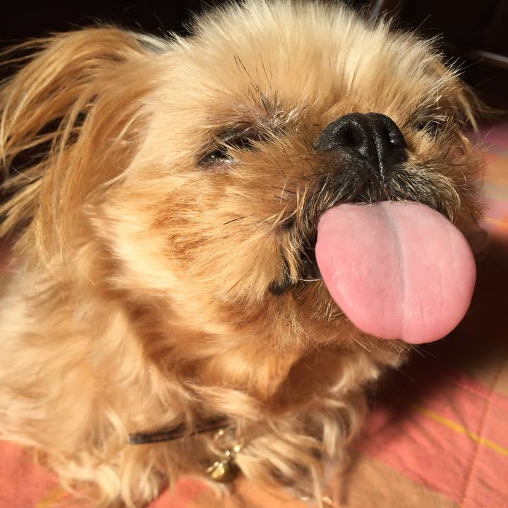 F8b8c90e 1692 48aa acbd c0cb7c2b96cf 1758796346217