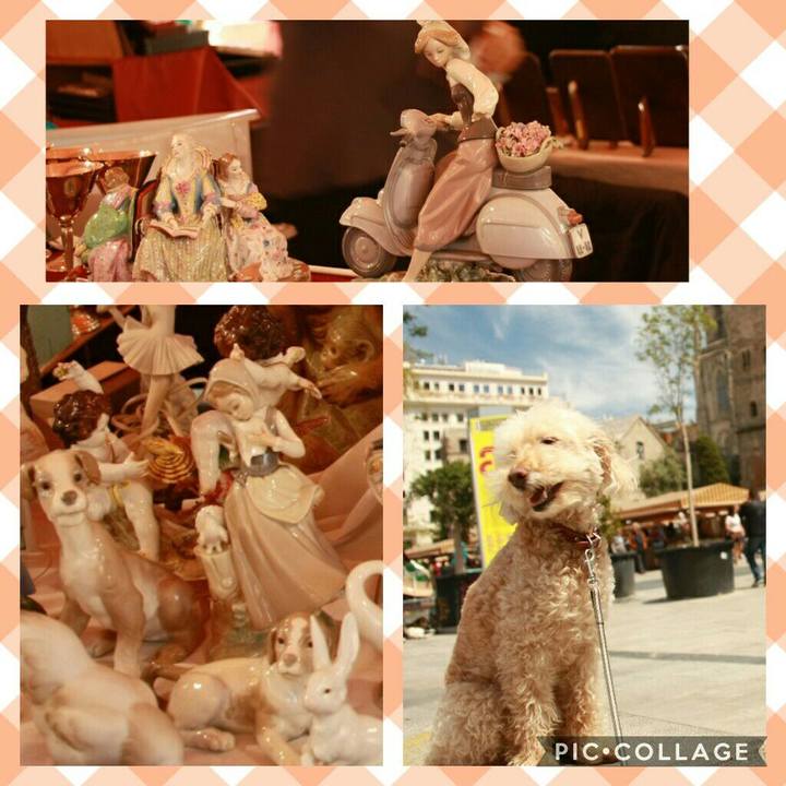 F8b8d469 d374 47bd 851e d4df0ac45fe9 1558629196261