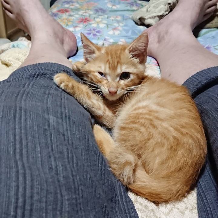 F8b8e152 548d 400a aafa cde1d1c69243 1628427319150