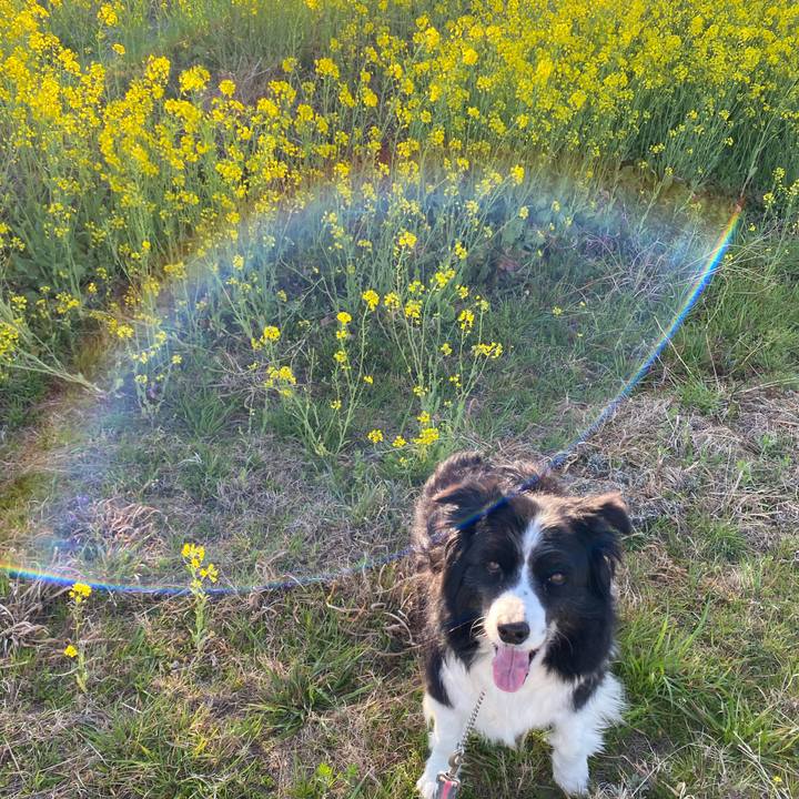 F8b90f17 affa 4ff8 92cc b5bfce566e68 1647300339789