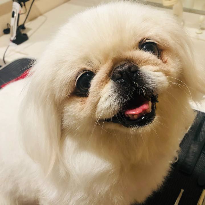 F8b91e91 7967 4295 8361 910be692e915 1621238756855