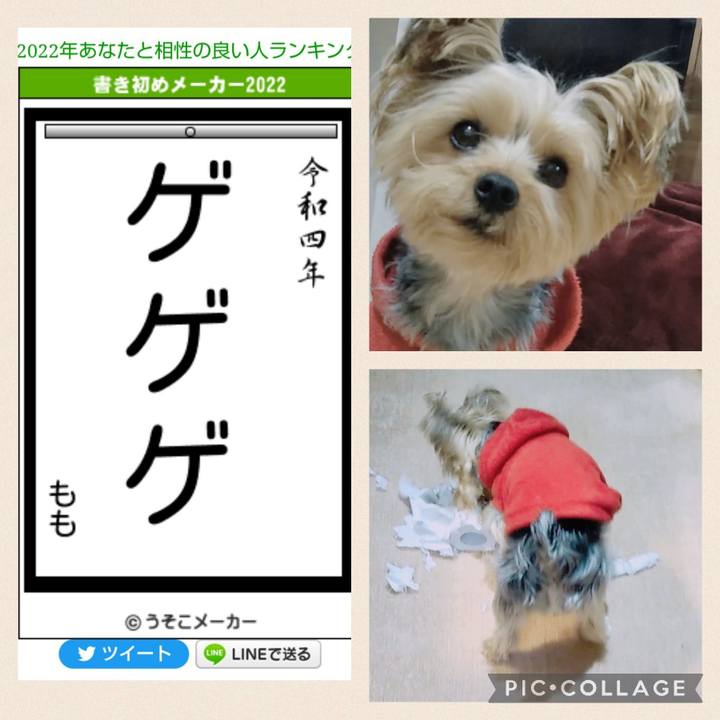 F8b928c9 2761 4e9e ac89 0af6450df19b 1641349117647