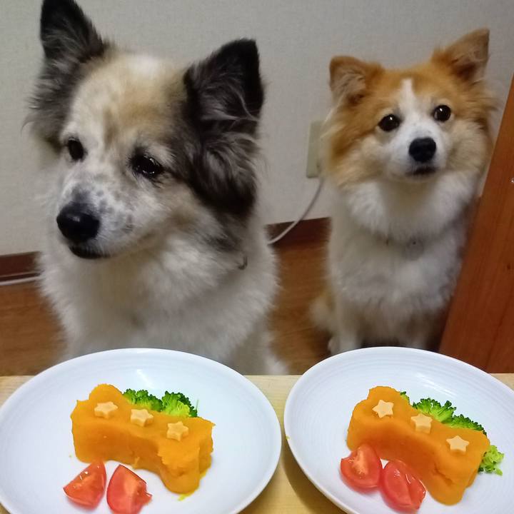 F8b947de 0ef0 4aaa b9f6 f1b1b1cb76d9 1665405111423