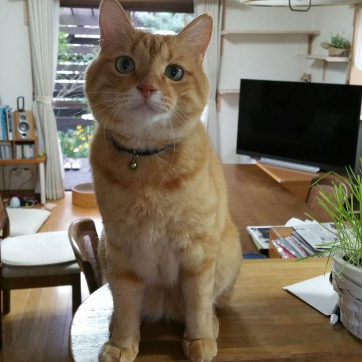 F8b99c36 cc36 47bd 9056 84c9f386edd6 1566635377101