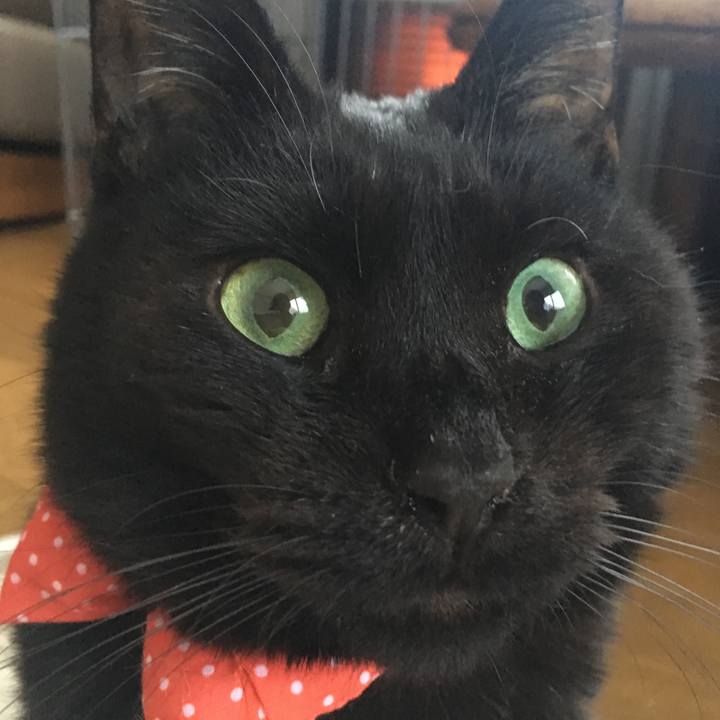 F8b9f5b7 967b 41c8 a7a6 770c327af76d 1548486866928