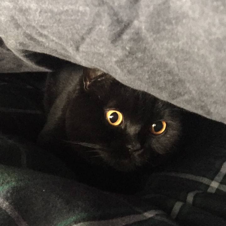 F8ba1855 09d2 4abe ace3 dbcb7d11b2ce 1544492103706