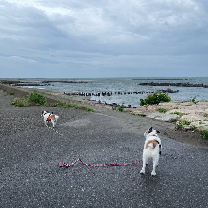 F8ba465b 4094 455a 828e bdba3083f558 1720396623841