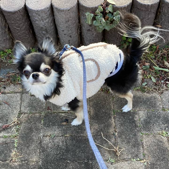 F8ba8c6b 89eb 485d bdb0 47348e9e1f2a 1675525060333