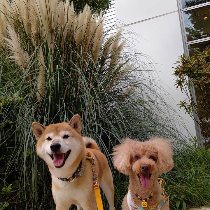 F8bab561 d8f7 40c4 9063 fa59d2188bf6 1601961196752