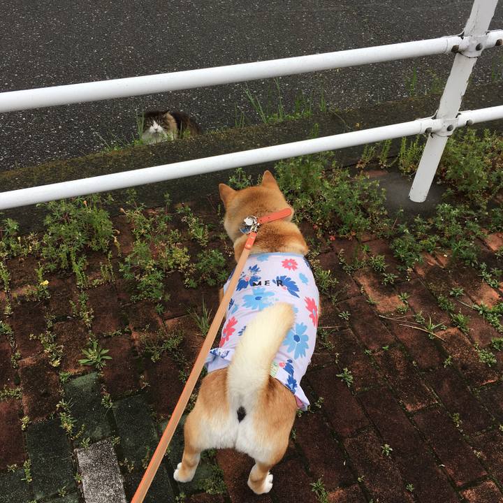 F8bab5b6 e779 47e9 9f97 94342634020b 1613221704747