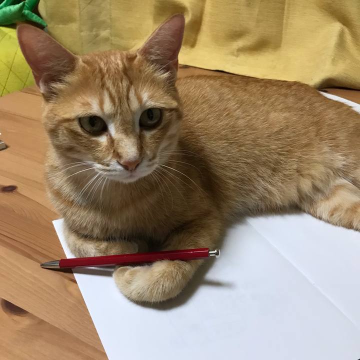 F8bae82e acea 4ec0 afc6 e5118ba24f6b 1561552640899